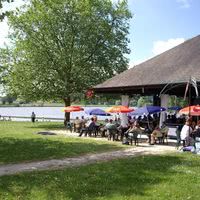 La Terrasse des Oliviers