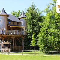 Chateau dans les branches