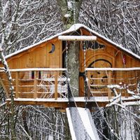 Cabanes dans les arbres
