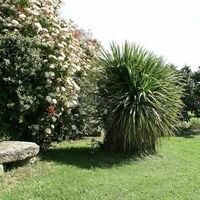 Petit coin de jardin