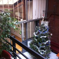Arbre de noël