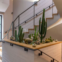 Escaliers