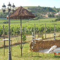 Vignoble du beaujolais vue de la piscine