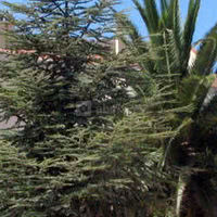 Alenya Las Motas