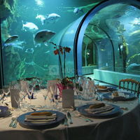 Diner dans le tunnel de l'océarium