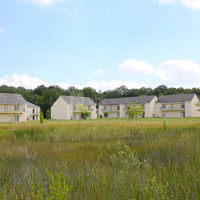 Domaine 1