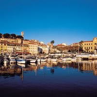 Le suquet