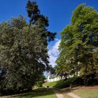 Domaine de la Ploquinière