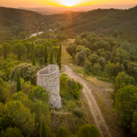Notre massif, écrin de verdure à l'Abbaye de Fontfroide