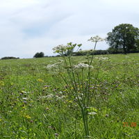 Randonnée pedestre sur le domaine