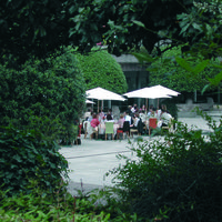 Terrasse en ete