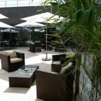Patio intérieur