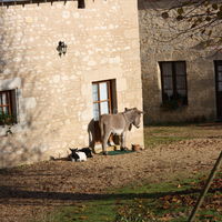 Nature, campagne et détente