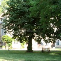 Parc