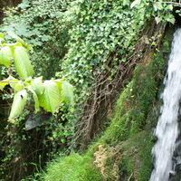 L''auberge des Moulins