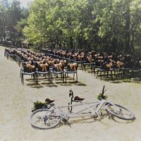 Cérémonie laîque