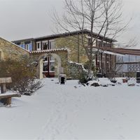 Damian sous la Neige