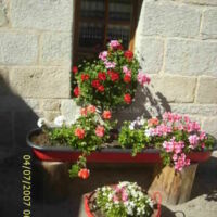 Et toujours des fleurs!