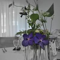 Décoration de table