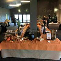 Mise en place traiteur
