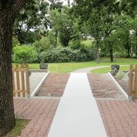 Mariage allée tapis 1