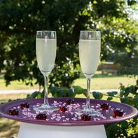 Verres plateau