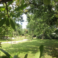 Allée ancienne