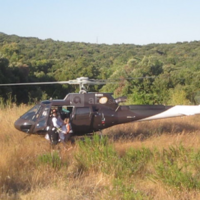 Helico