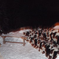 Les canapés en neige & peaux