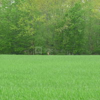 Le parc