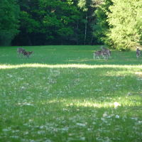 Le parc