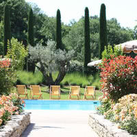 Jardin avec pisicne