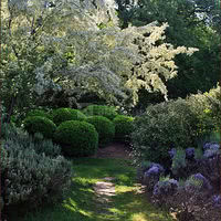 Parc