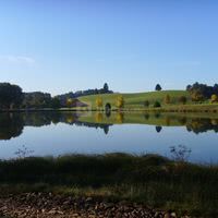 Domaine de l'Angelaud