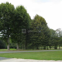 Le parc