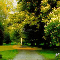 Le parc