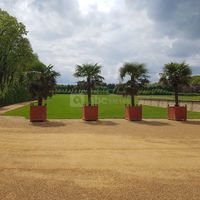 Orangerie du Château du Champ de Bataille