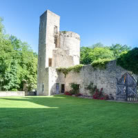 Cour du château - Pelouse