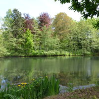 Château de Carneville - parc - étang