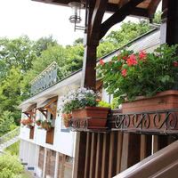 Hôtel Restaurant les Pins