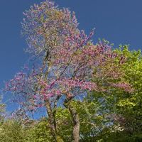 Domaine de Rennebourg