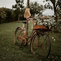 Vélo vintage