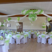 Salle césar vert et blanc