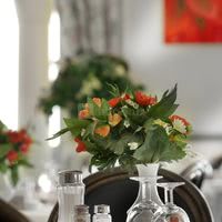 Hôtel Restaurant Thermal