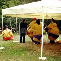 Château de Chambiers