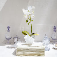 Château de Chambiers