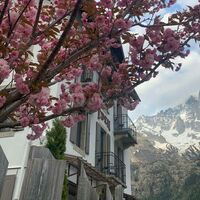 Hôtel Eden