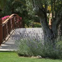 Le pont2
