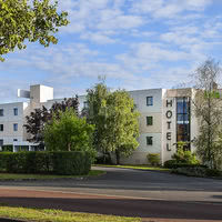 Ibis Cognac