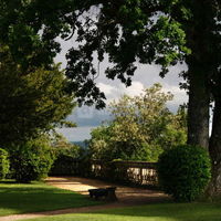 Le parc arboré du château